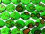 20mm Bright Green -Topaz Acid Splatter Print MOP Shell Coin